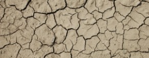 Migration et justice climatique
