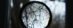 Regards sur les mutations du monde de la recherche