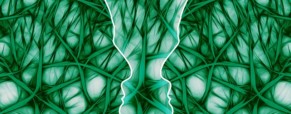 Bergson et la causalité de l’exemple à la lumière des sciences sociales et biologiques : charisme, imitation, émotion (II)