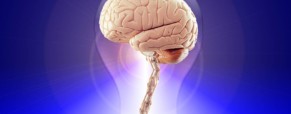 Psychologie cognitive et théorie quantique