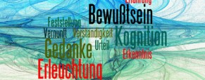 Les pentes cognitives naturelles de la catégorisation sociale