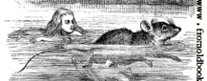 Le rat