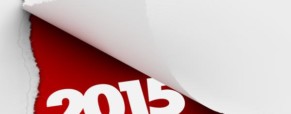 Voeux 2015
