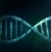 Biotechnologies et inventivité humaine : nécessité rationnelle et exigence éthique