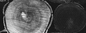 « Une société selon mon cœur ». Les usages philosophiques et littéraires de la fiction chez Jean-Jacques Rousseau (2/2)