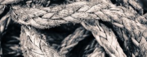 L’enquête wébérienne en sociologie (1/2)