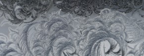 L’anorexie mentale comme production aliénée de soi-même L’anorexie mentale comme production aliénée de soi-même