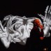 Chutes et attentions dans le Contact Improvisation 1/2