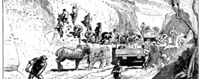 Le travail des républicains (2)