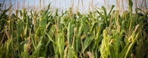 Ethique et développement durable (2/2)
