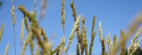 Ethique et développement durable (1/2)