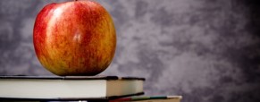 Le rôle de l’expérience et la formation des adultes