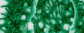 AAC : Esthétique et neurosciences