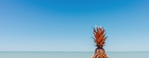 ACC – Philosophie de l’inattendu