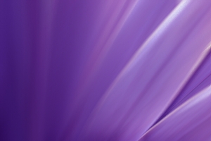 purple-blur-1393271-m