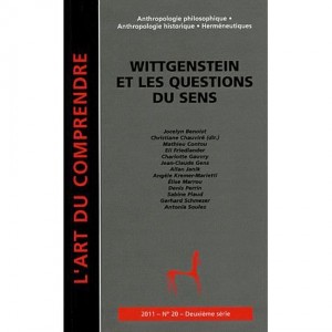 wittgenstein-et-les-questions-du-sens